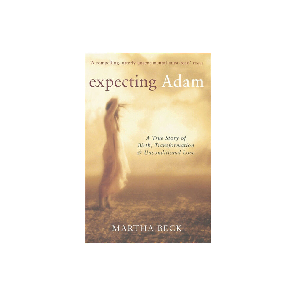 Little, Brown Book Group Expecting Adam (häftad, eng)