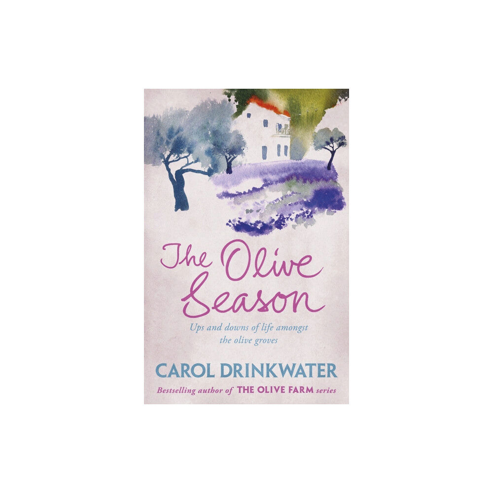 Orion Publishing Co The Olive Season (häftad, eng)