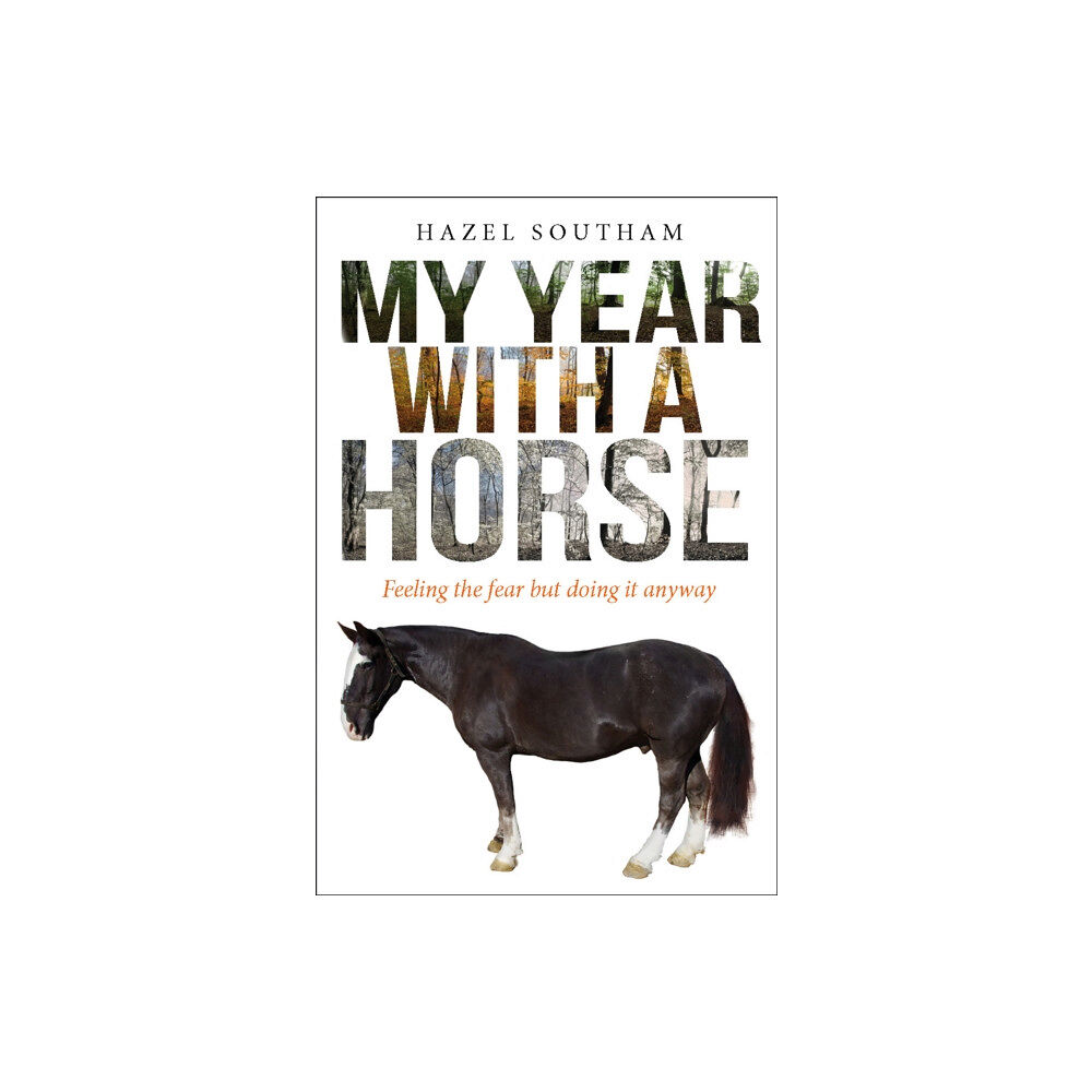 Spck publishing My Year With a Horse (häftad, eng)