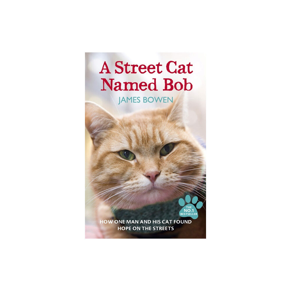 Hodder & Stoughton A Street Cat Named Bob (häftad, eng)