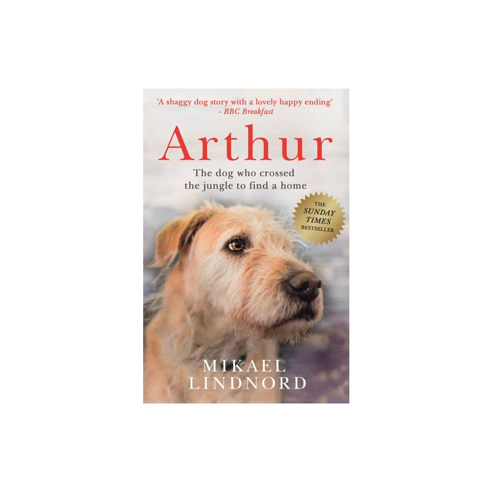 John Murray Press Arthur the King (häftad, eng)