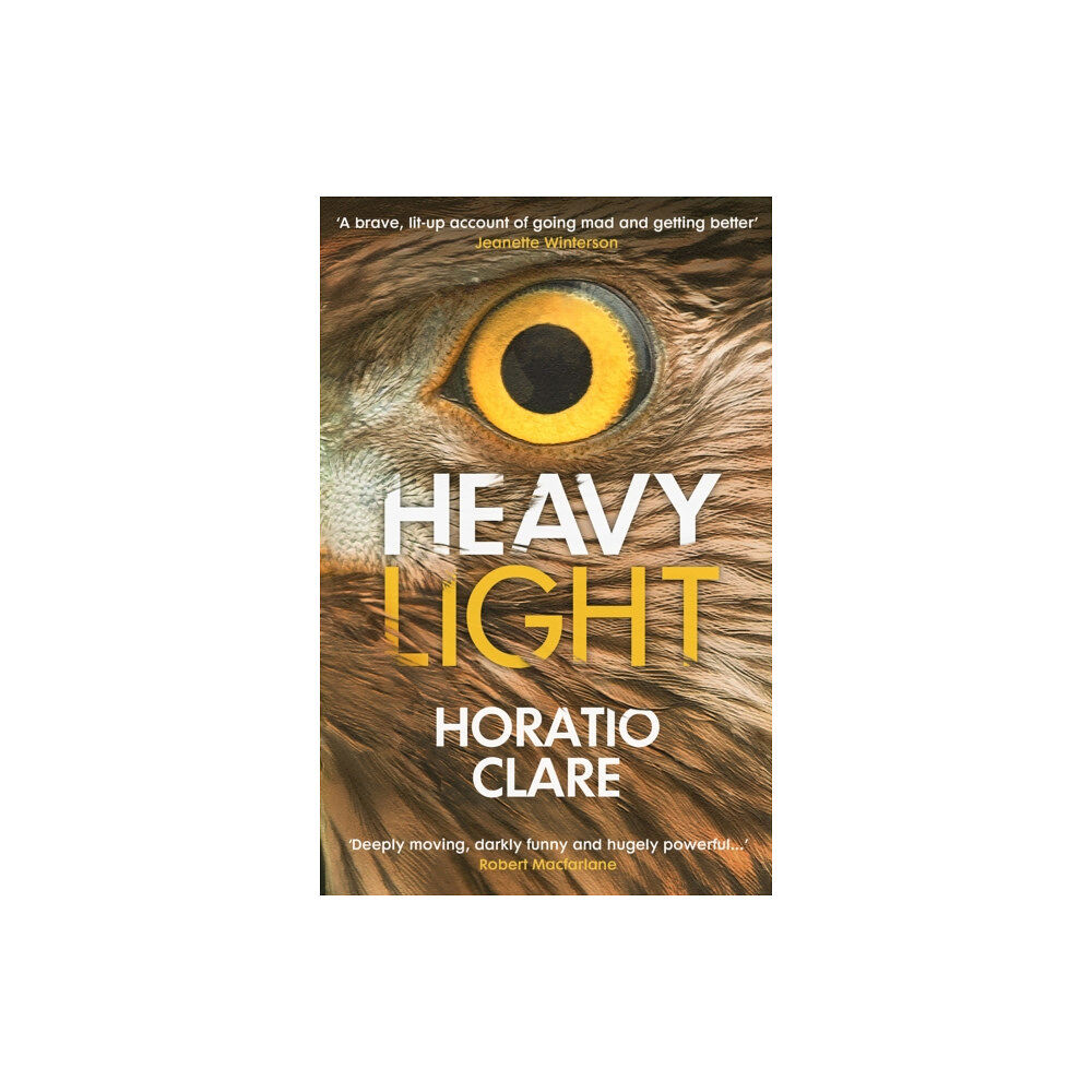 Vintage Publishing Heavy Light (häftad, eng)