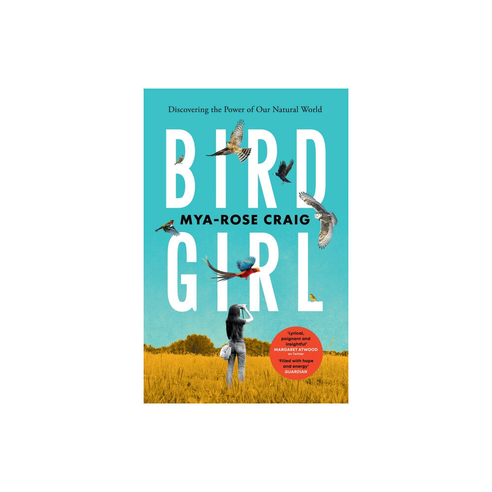 Vintage Publishing Birdgirl (häftad, eng)