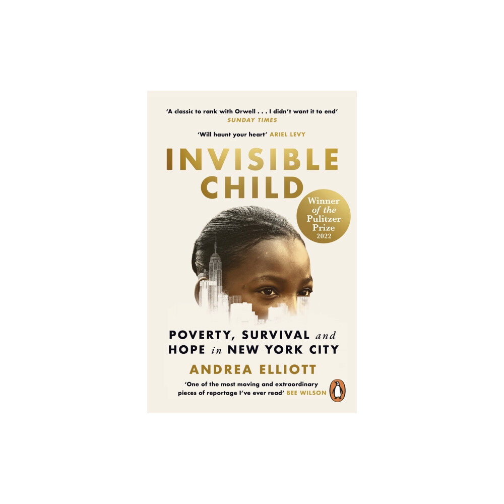 Cornerstone Invisible Child (häftad, eng)