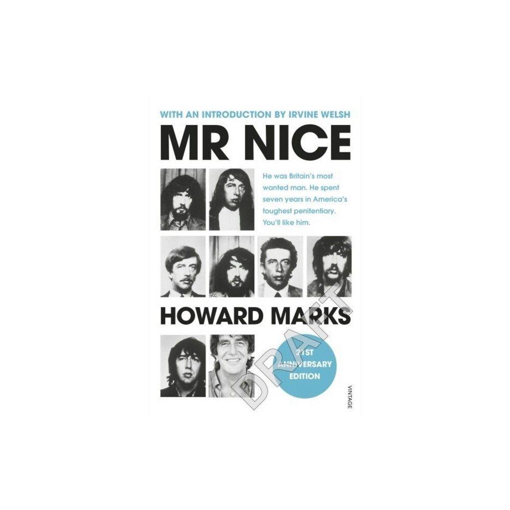 Vintage Publishing Mr Nice (häftad, eng)