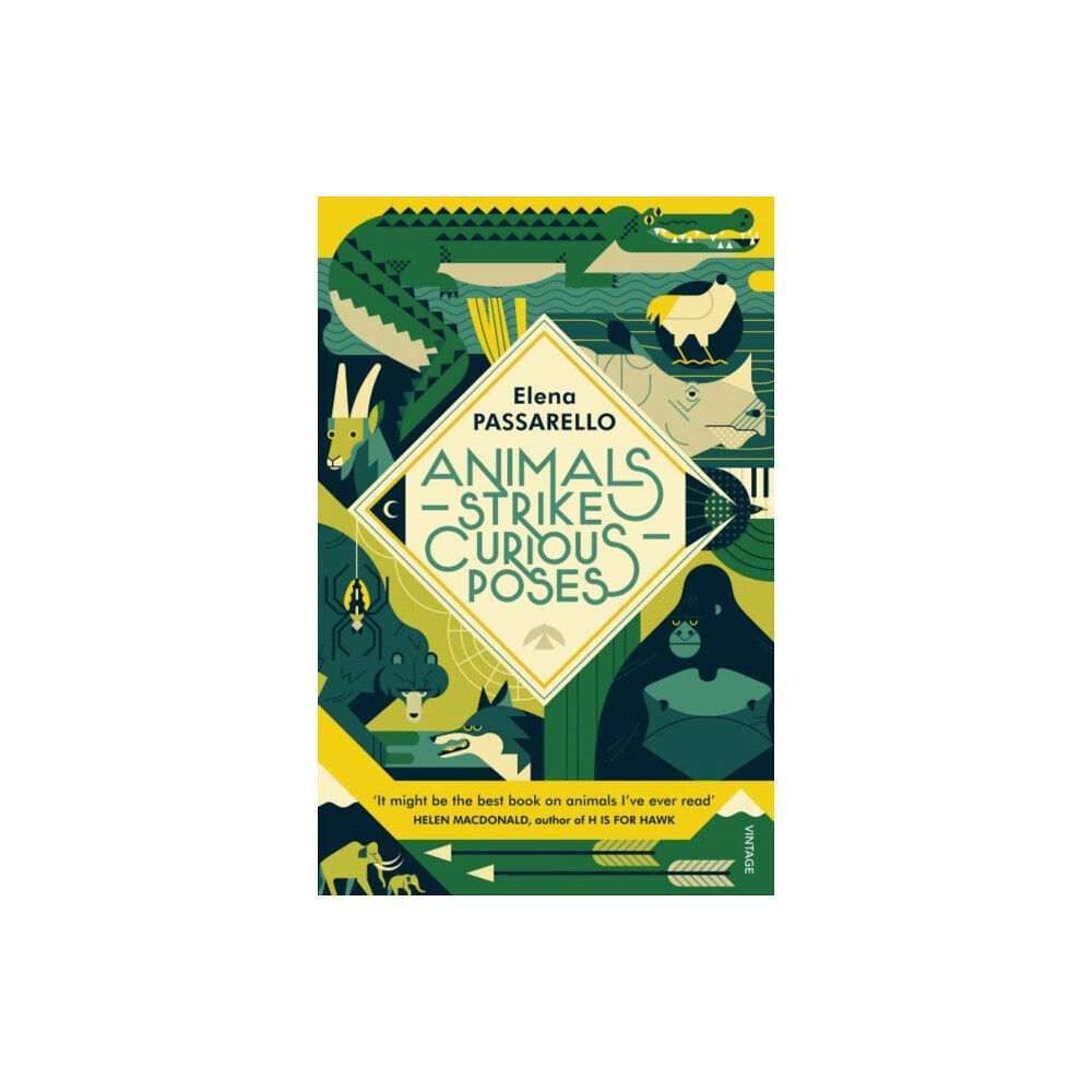 Vintage Publishing Animals Strike Curious Poses (häftad, eng)