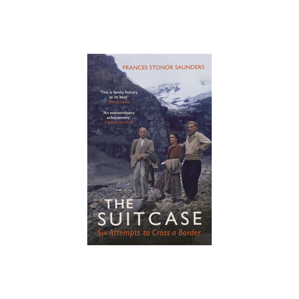 Vintage Publishing The Suitcase (häftad, eng)