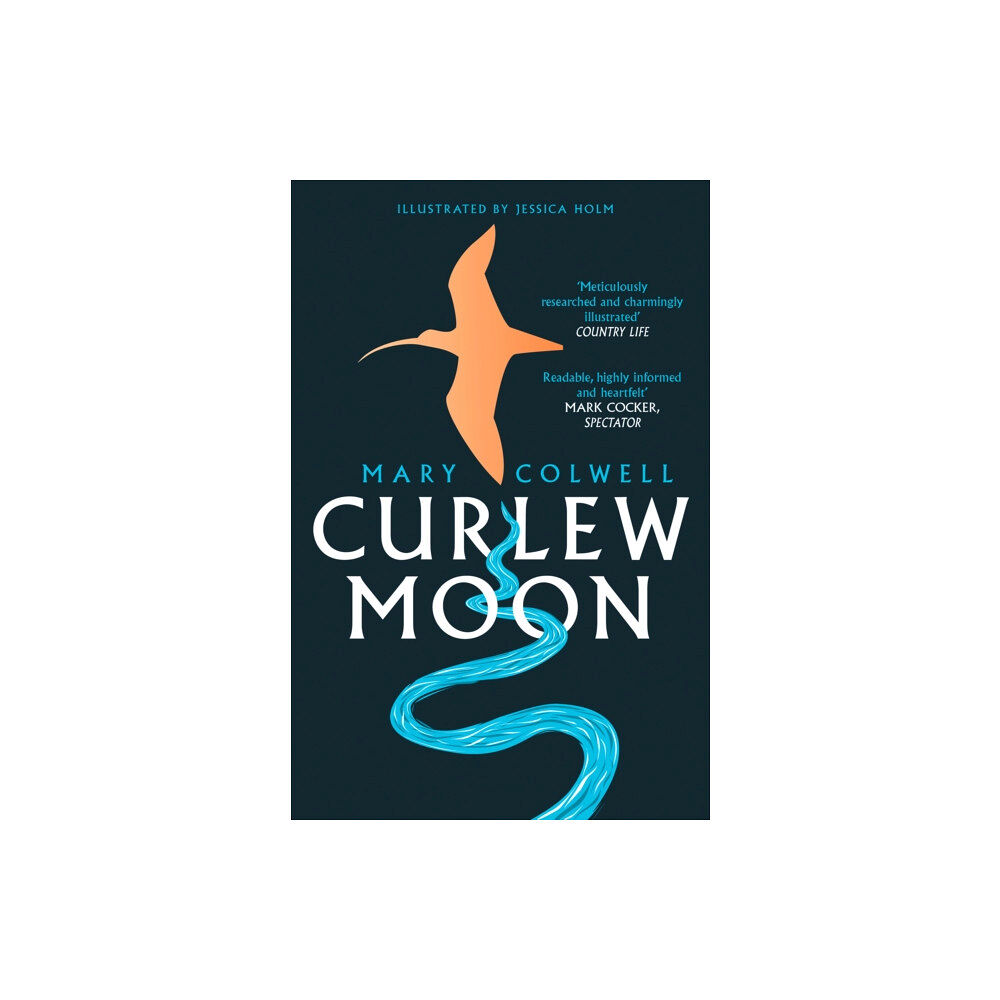 HarperCollins Publishers Curlew Moon (häftad, eng)