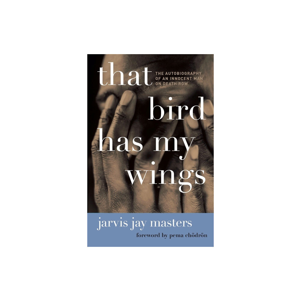 Harpercollins publishers inc That Bird Has My Wings (häftad, eng)