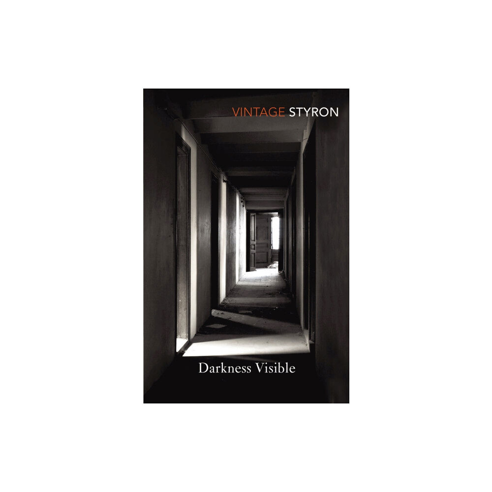 Vintage Publishing Darkness Visible (häftad, eng)