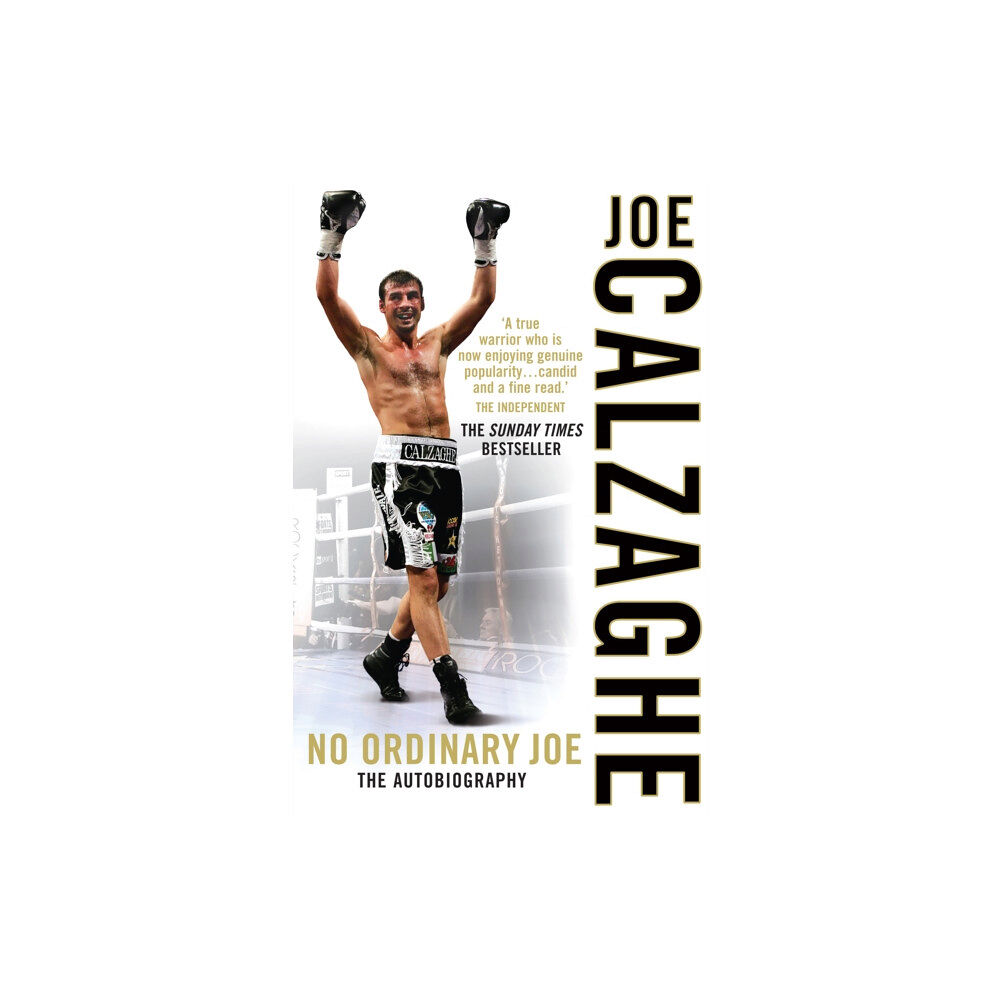 Cornerstone No Ordinary Joe (häftad, eng)