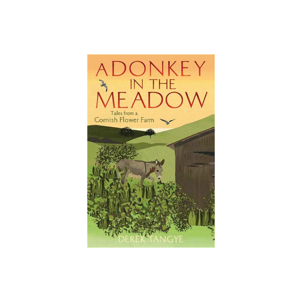 Little, Brown Book Group A Donkey in the Meadow (häftad, eng)