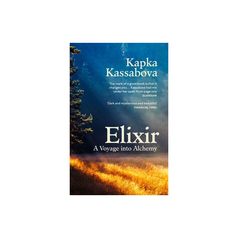 Vintage Publishing Elixir (häftad, eng)