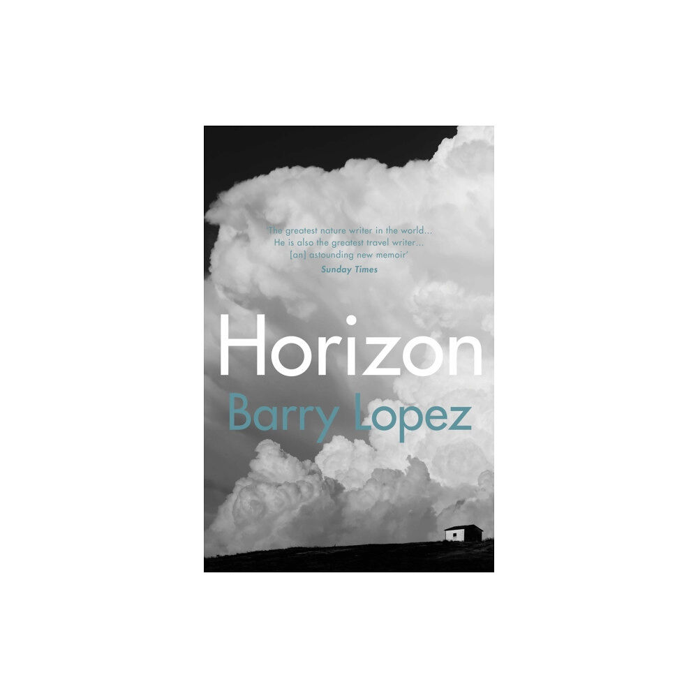 Vintage Publishing Horizon (häftad, eng)