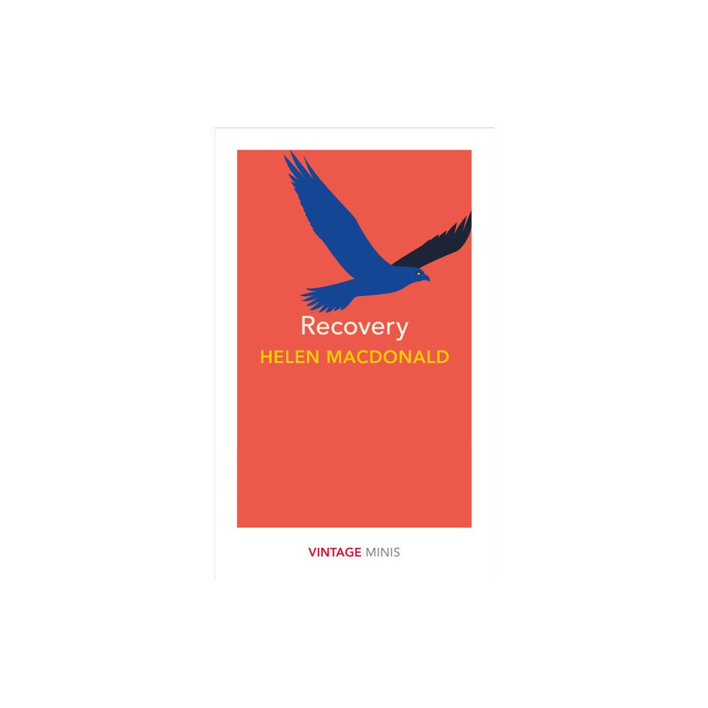 Vintage Publishing Recovery (häftad, eng)