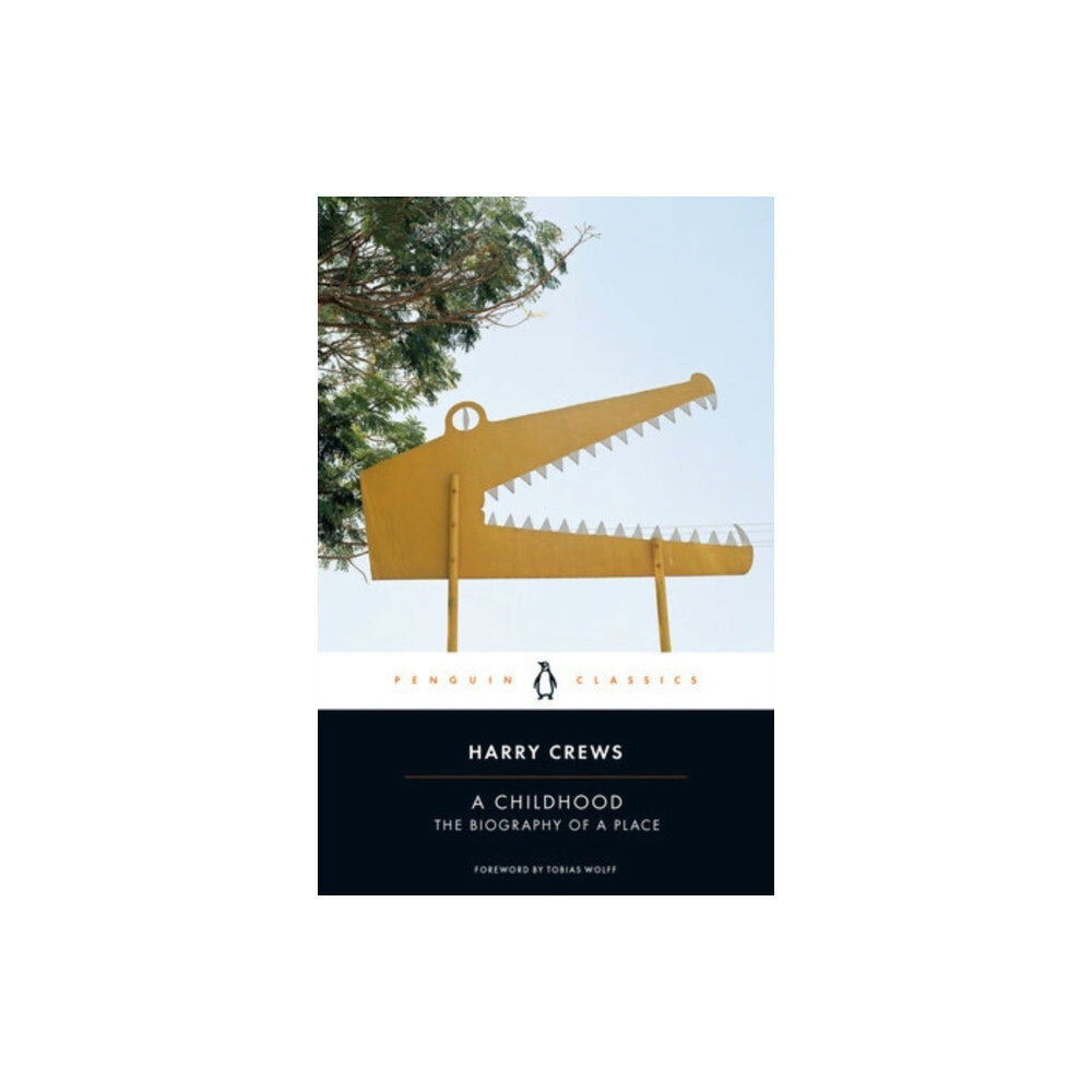 Penguin books ltd A Childhood (häftad, eng)