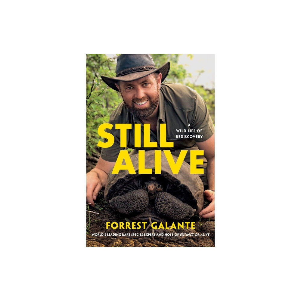 Little, Brown & Company Still Alive (häftad, eng)