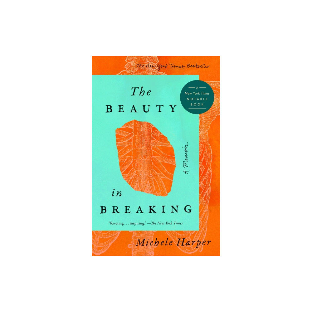 Penguin Putnam Inc The Beauty in Breaking (häftad, eng)