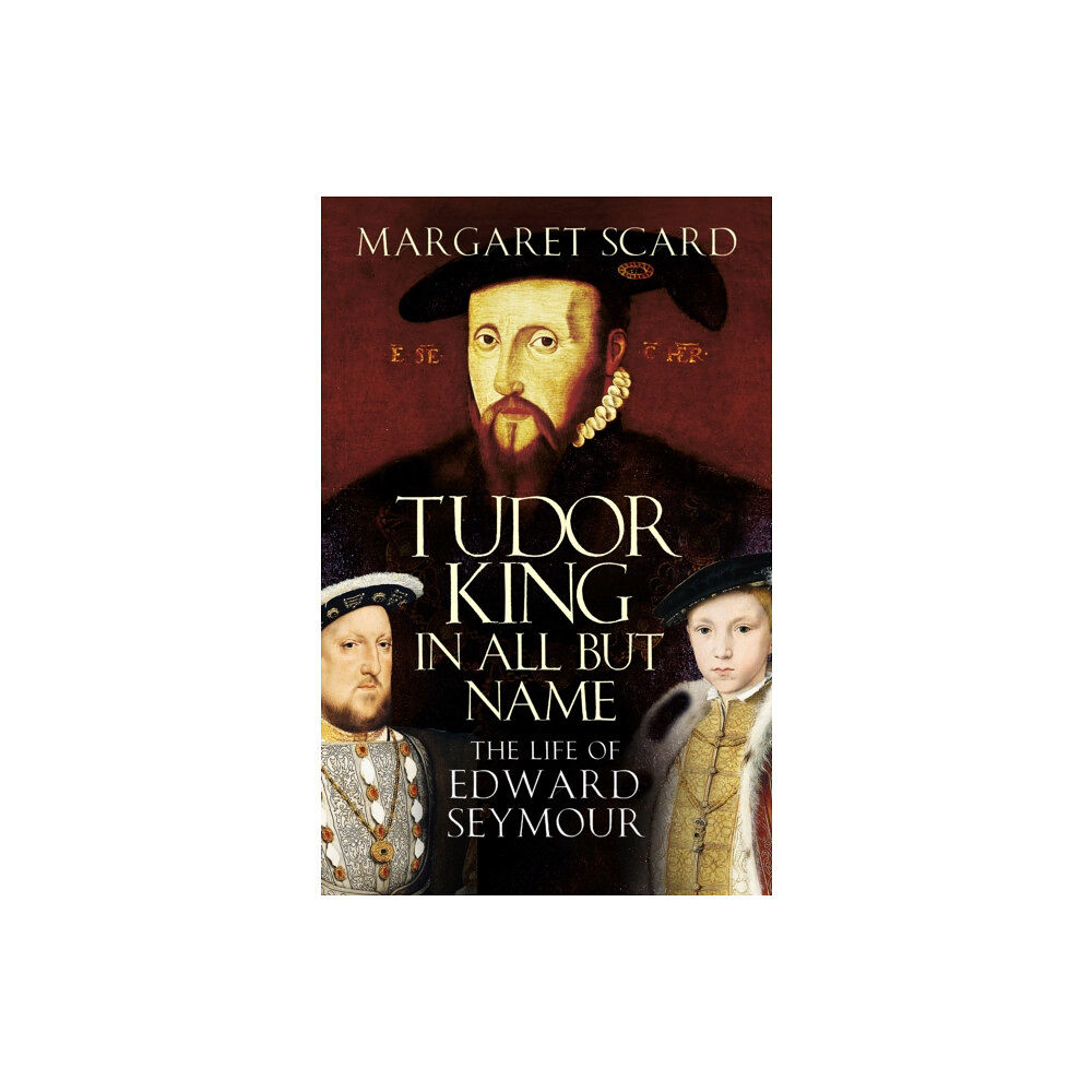 The History Press Ltd Tudor King in All But Name (häftad, eng)