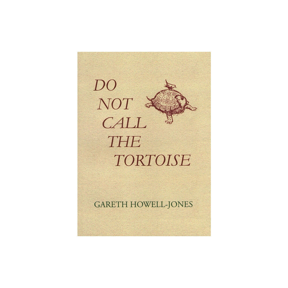 The Cyrus Press Do Not Call the Tortoise (häftad, eng)