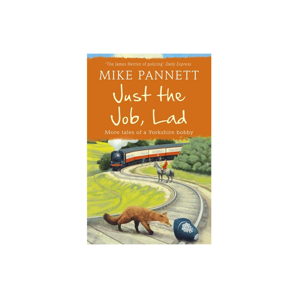 Hodder & Stoughton Just the Job, Lad (häftad, eng)