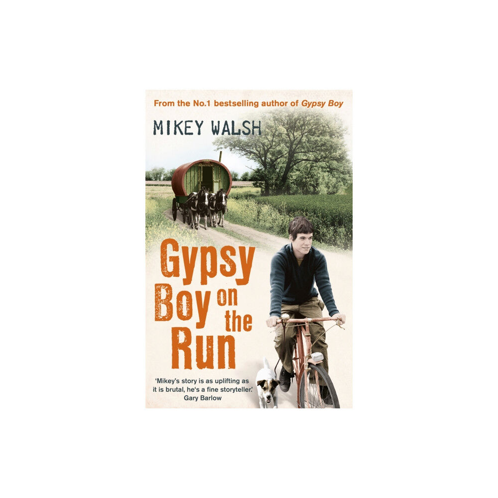 Hodder & Stoughton Gypsy Boy on the Run (häftad, eng)