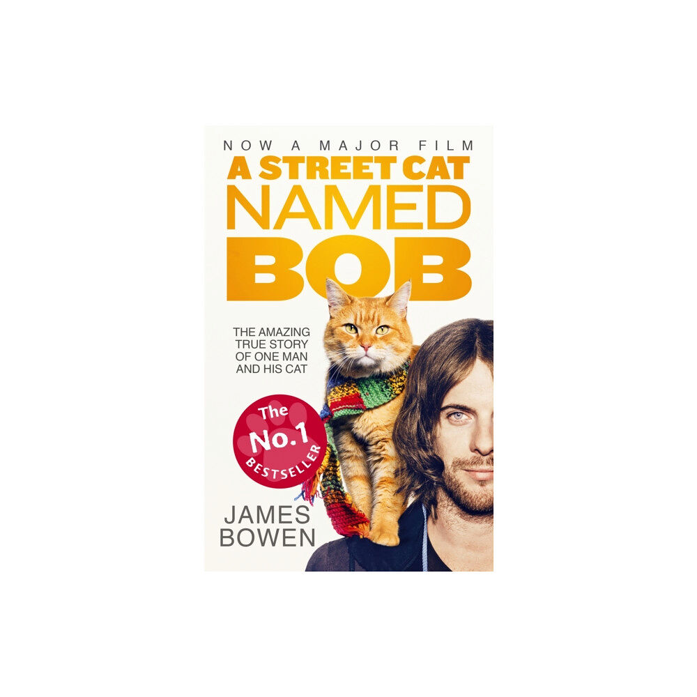 Hodder & Stoughton A Street Cat Named Bob (häftad, eng)