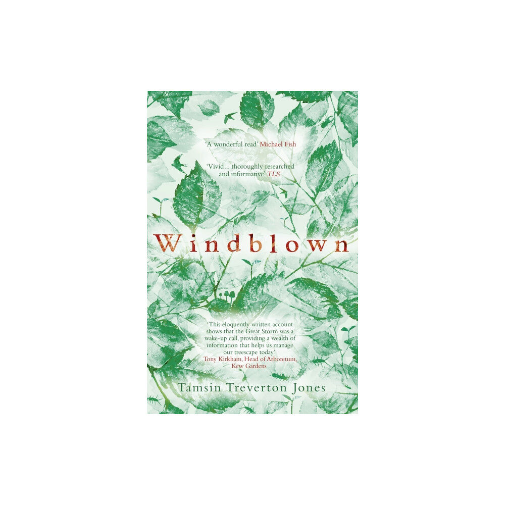 Hodder & Stoughton Windblown (häftad, eng)