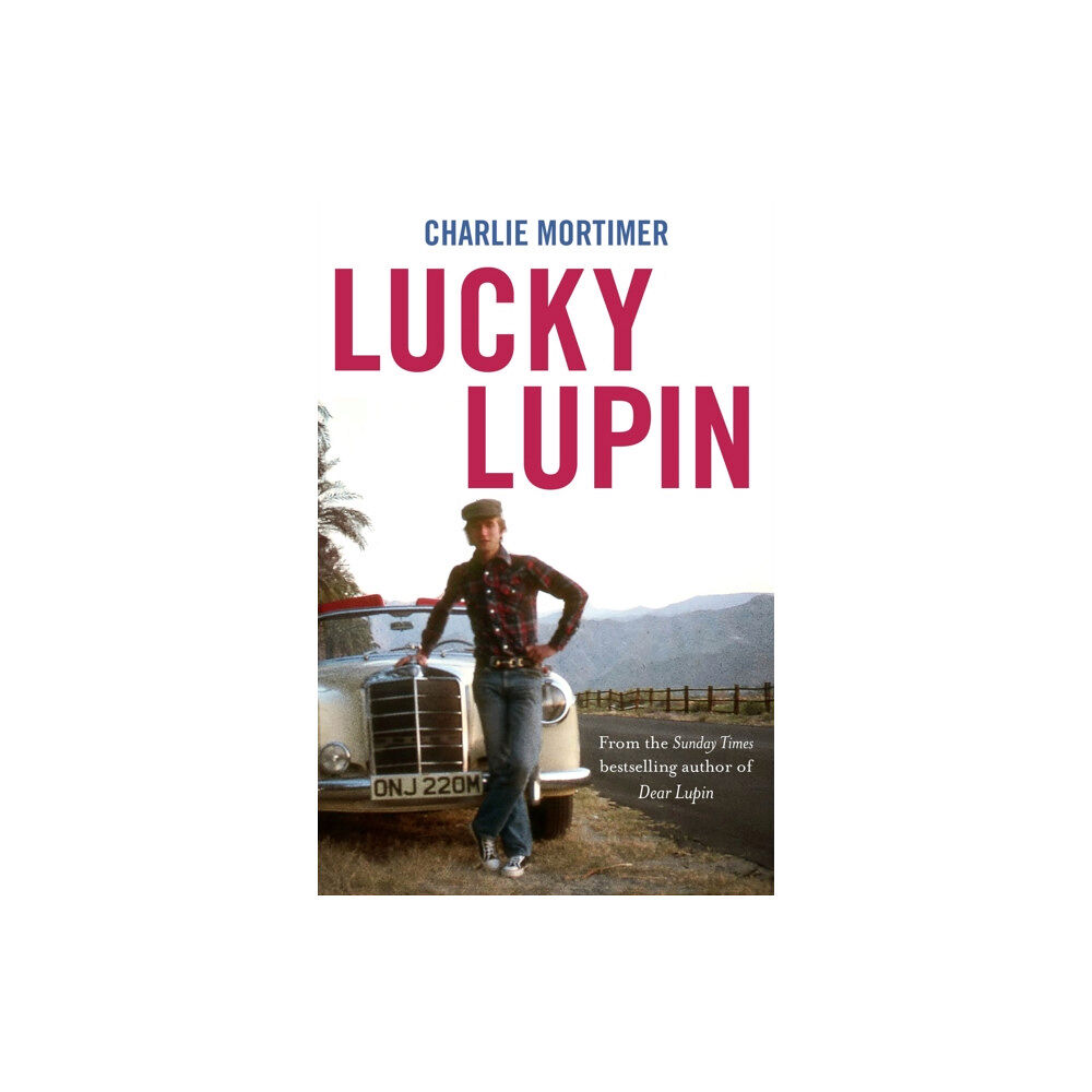 Little, Brown Book Group Lucky Lupin (häftad, eng)