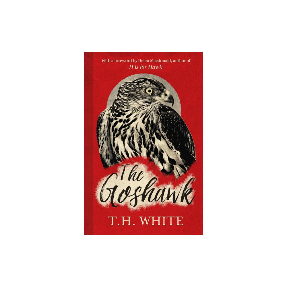 Orion Publishing Co The Goshawk (inbunden, eng)