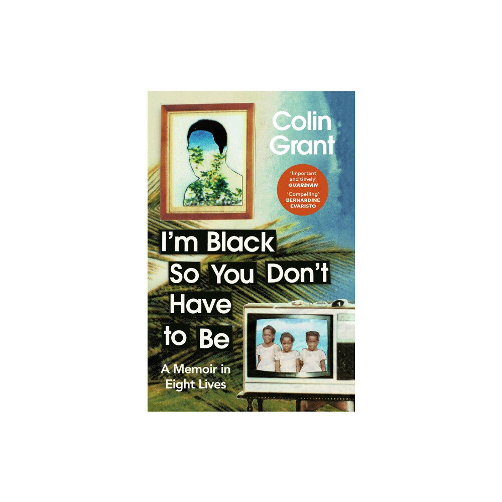 Vintage Publishing I'm Black So You Don't Have to Be (häftad, eng)