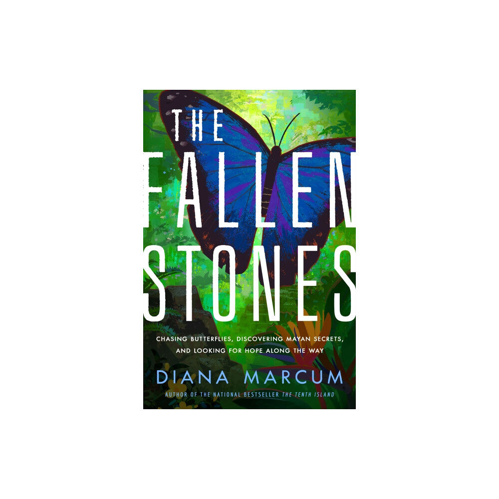 Amazon Publishing The Fallen Stones (häftad, eng)