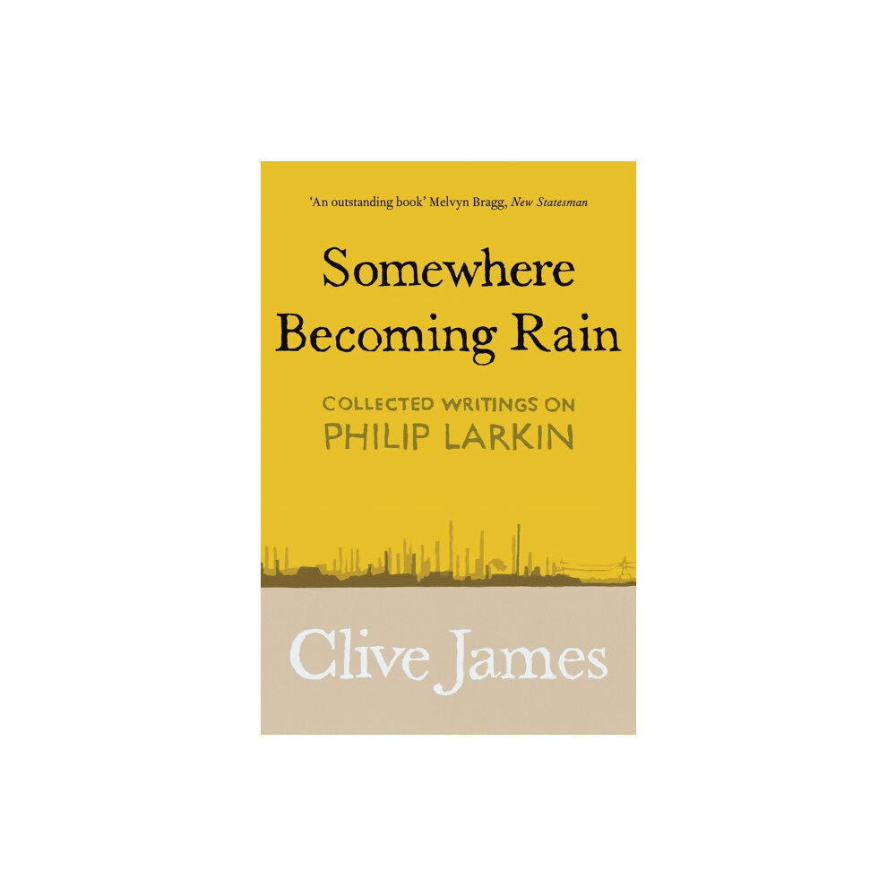 Pan Macmillan Somewhere Becoming Rain (häftad, eng)