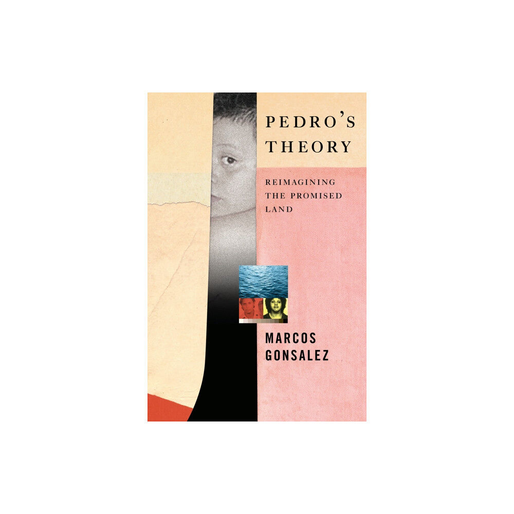 Melville House Publishing Pedro's Theory (inbunden, eng)