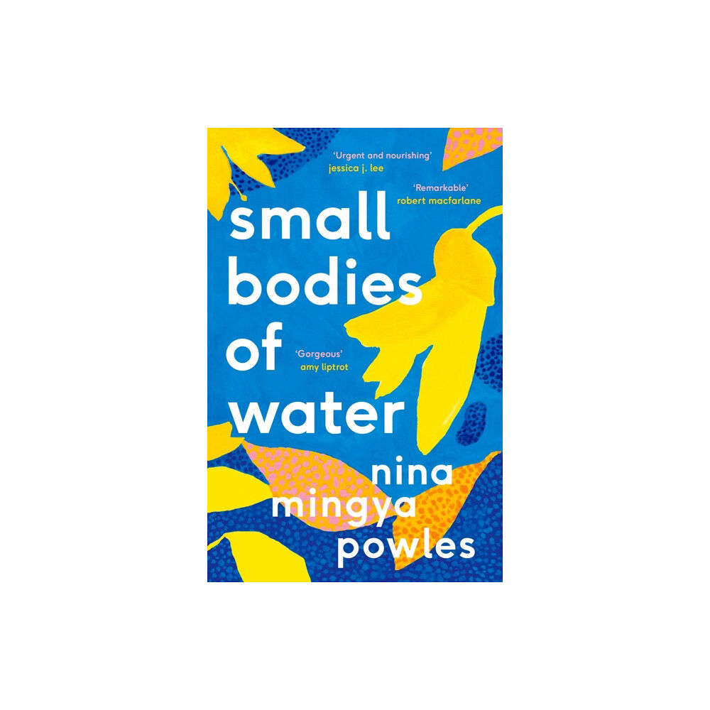 Canongate Books Small Bodies of Water (häftad, eng)