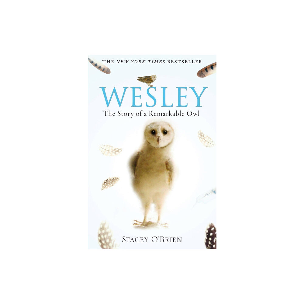 Little, Brown Book Group Wesley (häftad, eng)