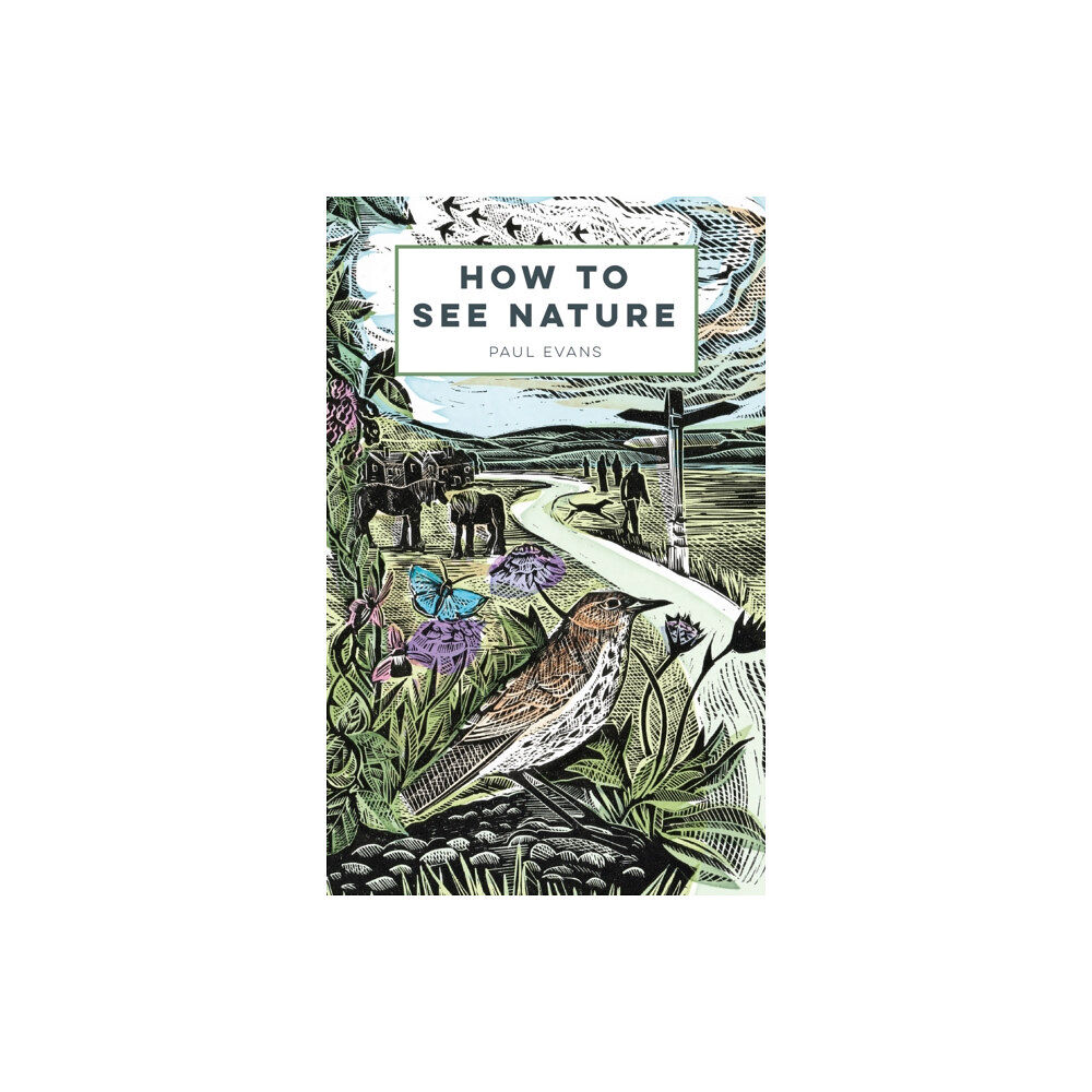 Batsford How to See Nature (häftad, eng)