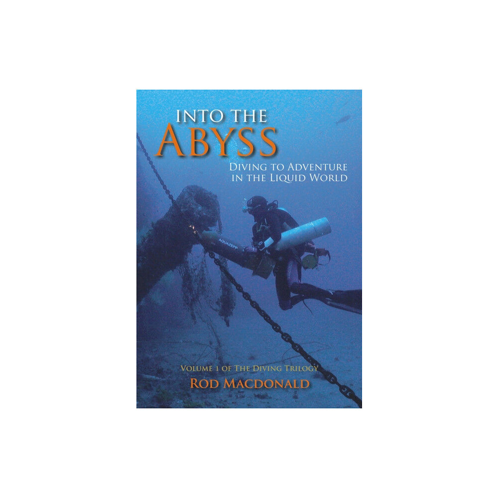 Porto Press Ltd Into the Abyss (häftad, eng)