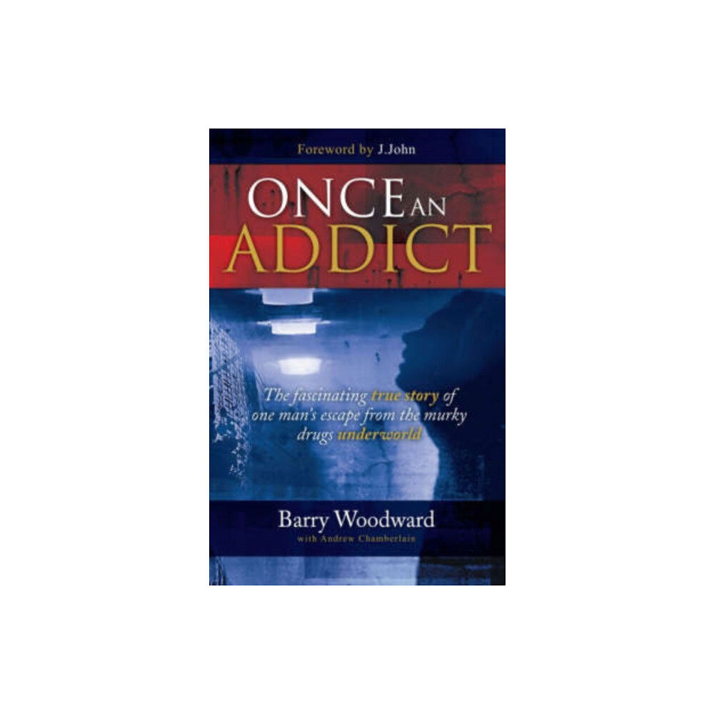 Authentic Media Once an Addict (häftad, eng)