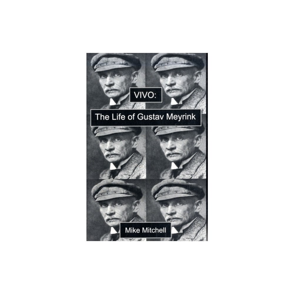 Dedalus Ltd Vivo: the Life of Gustav Meyrink (häftad, eng)