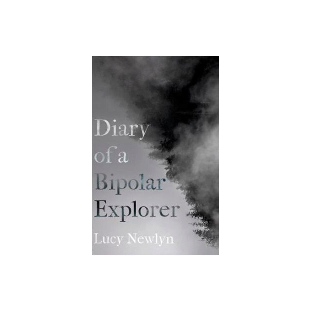 Andrews UK Limited Diary of a Bipolar Explorer (häftad, eng)