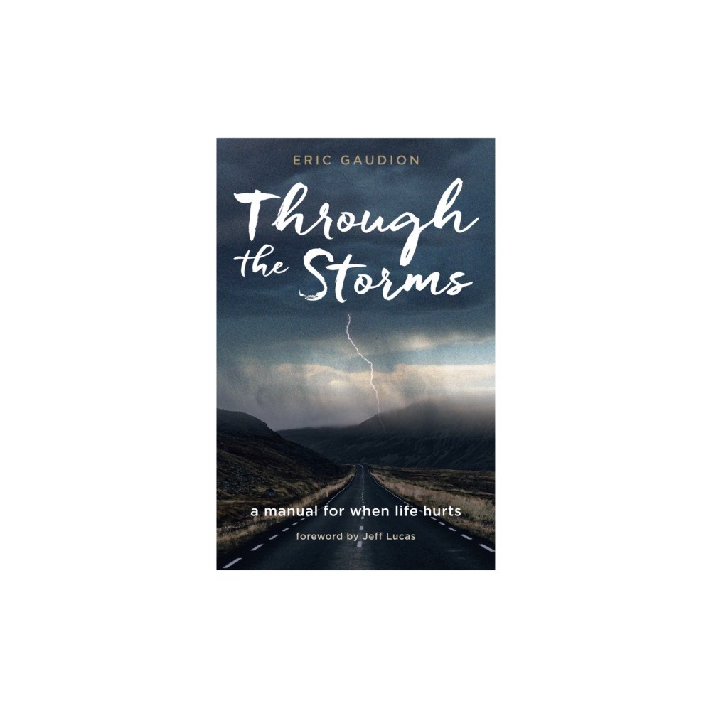 Instant apostle Through the Storms (häftad, eng)