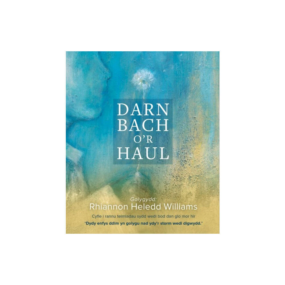 Gwasg y Bwthyn Cyf Darllen yn Well: Darn Bach o'r Haul (häftad, wel)