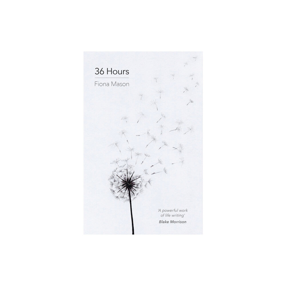 Word After Word Press 36 Hours (häftad, eng)