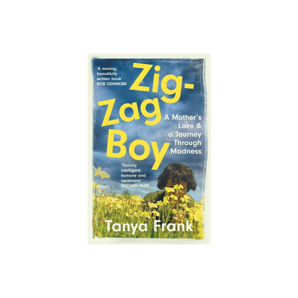 HarperCollins Publishers Zig-Zag Boy (häftad, eng)