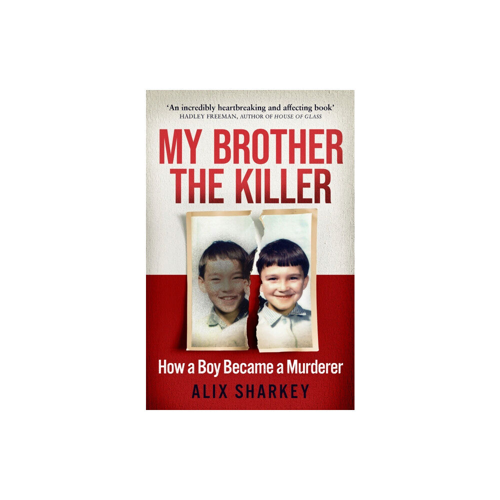 HarperCollins Publishers My Brother the Killer (häftad, eng)