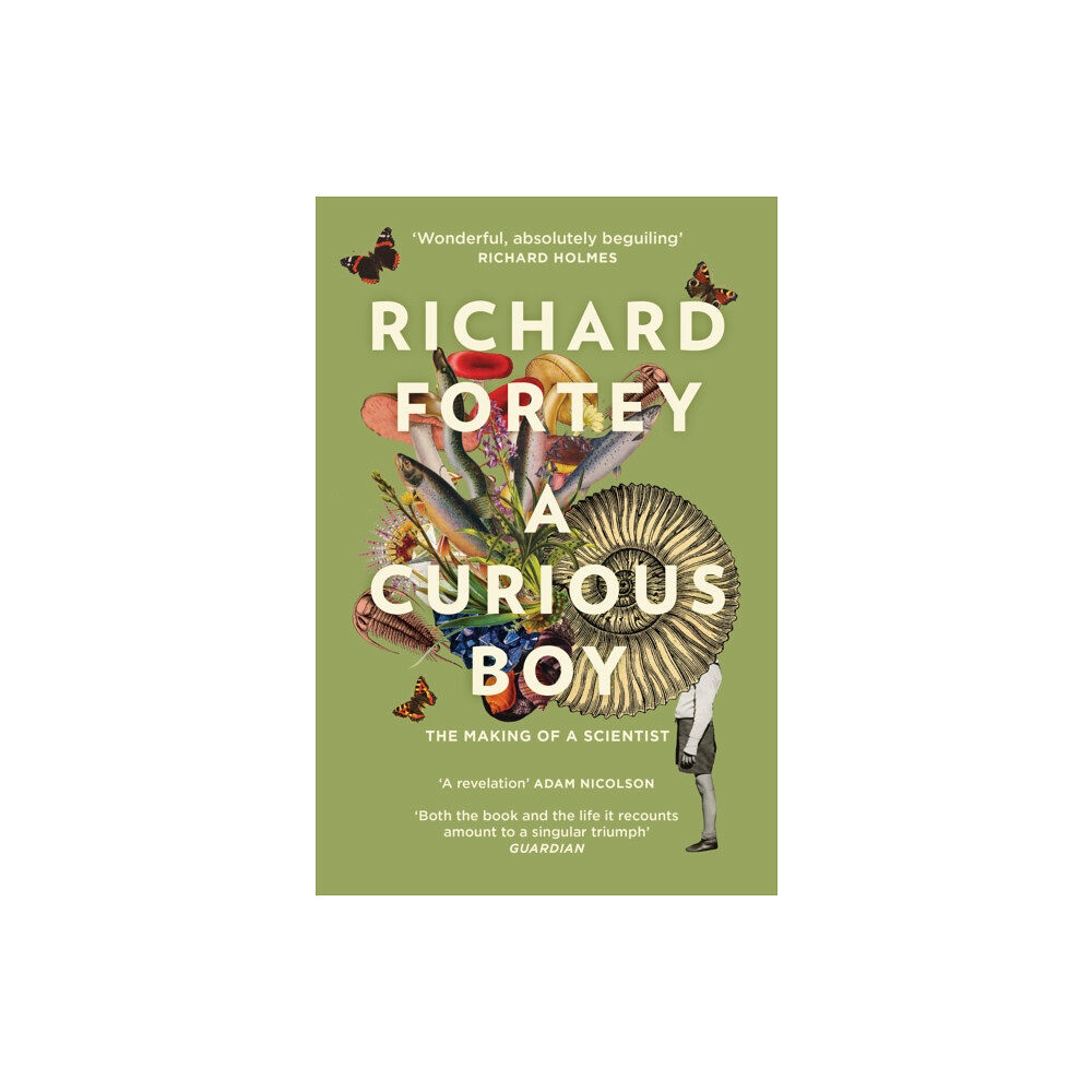 HarperCollins Publishers A Curious Boy (häftad, eng)
