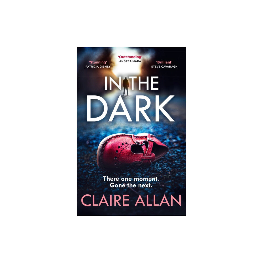 HarperCollins Publishers In The Dark (häftad, eng)