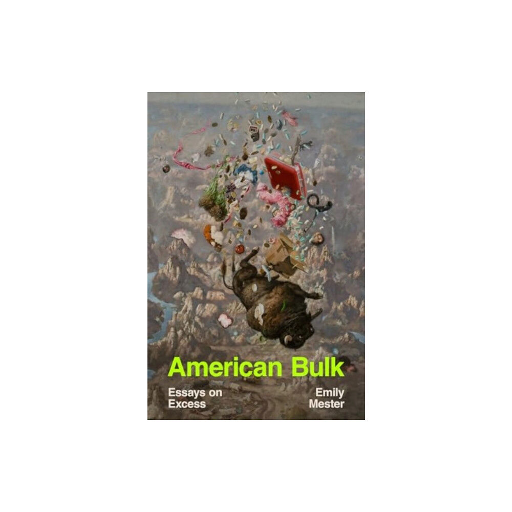 WW Norton & Co American Bulk (häftad, eng)