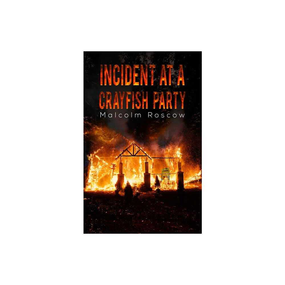 Austin Macauley Publishers Incident at a Crayfish Party (häftad, eng)